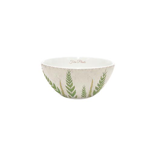 Cerealero 15cm Lovely Garden helechos Cerealero 15cm Lovely Garden helechos