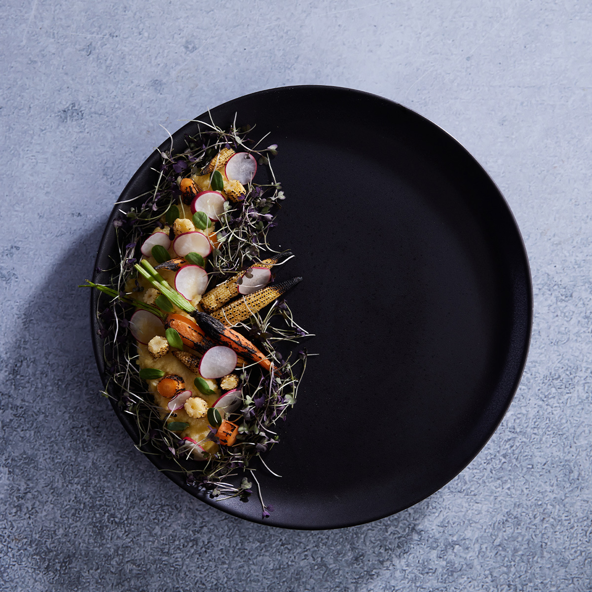 Plato pando coupe 28.4cm Pluto