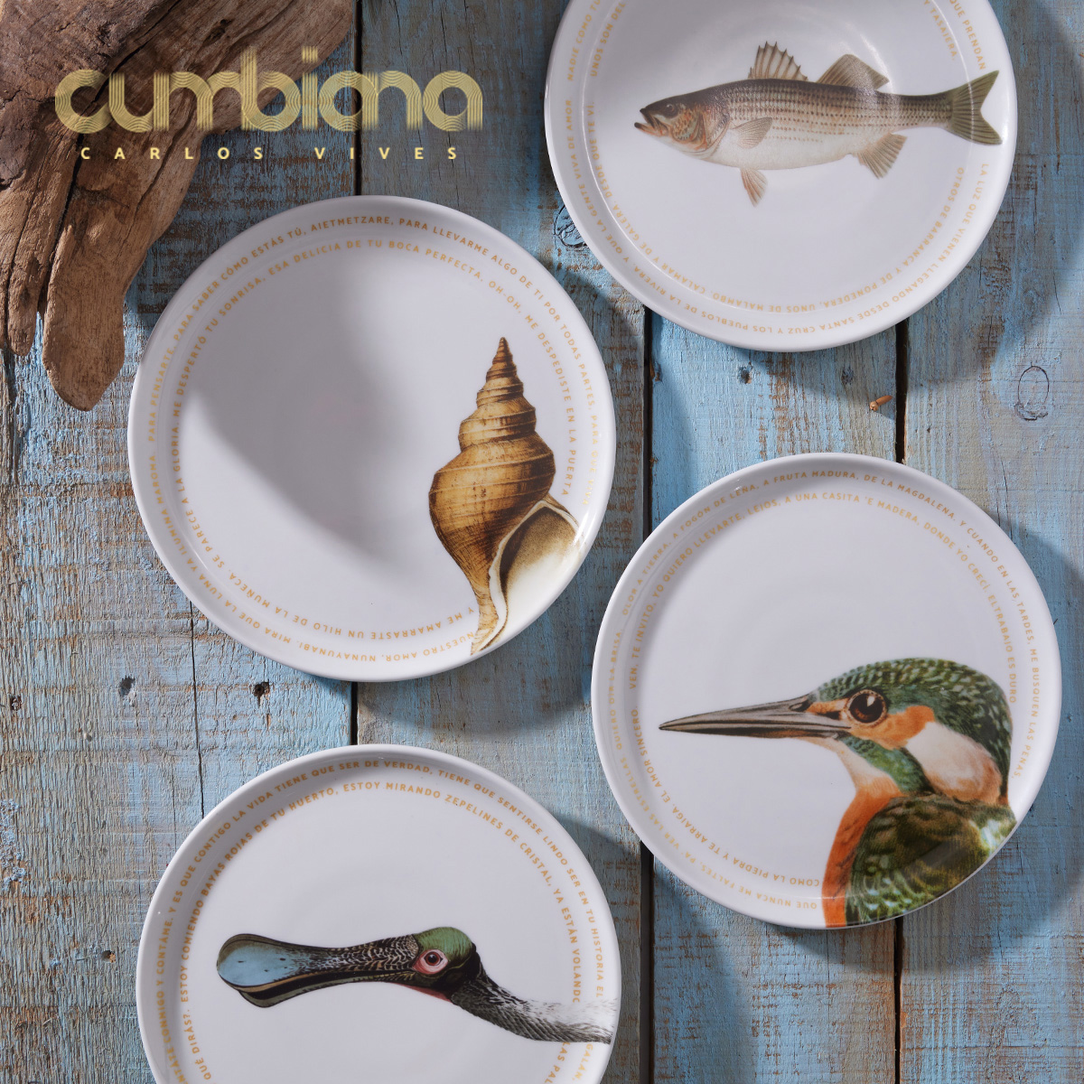Set 4 platos Pando 23.6cm Cumbiana By Carlos Vives