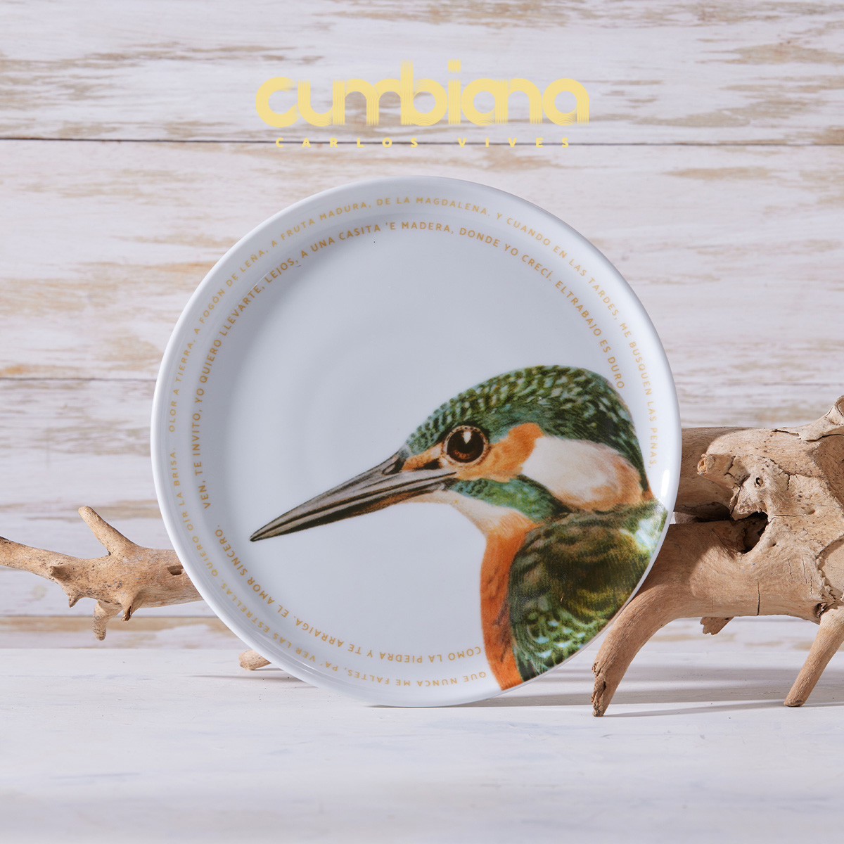 Set 4 platos Pando 23.6cm Cumbiana By Carlos Vives