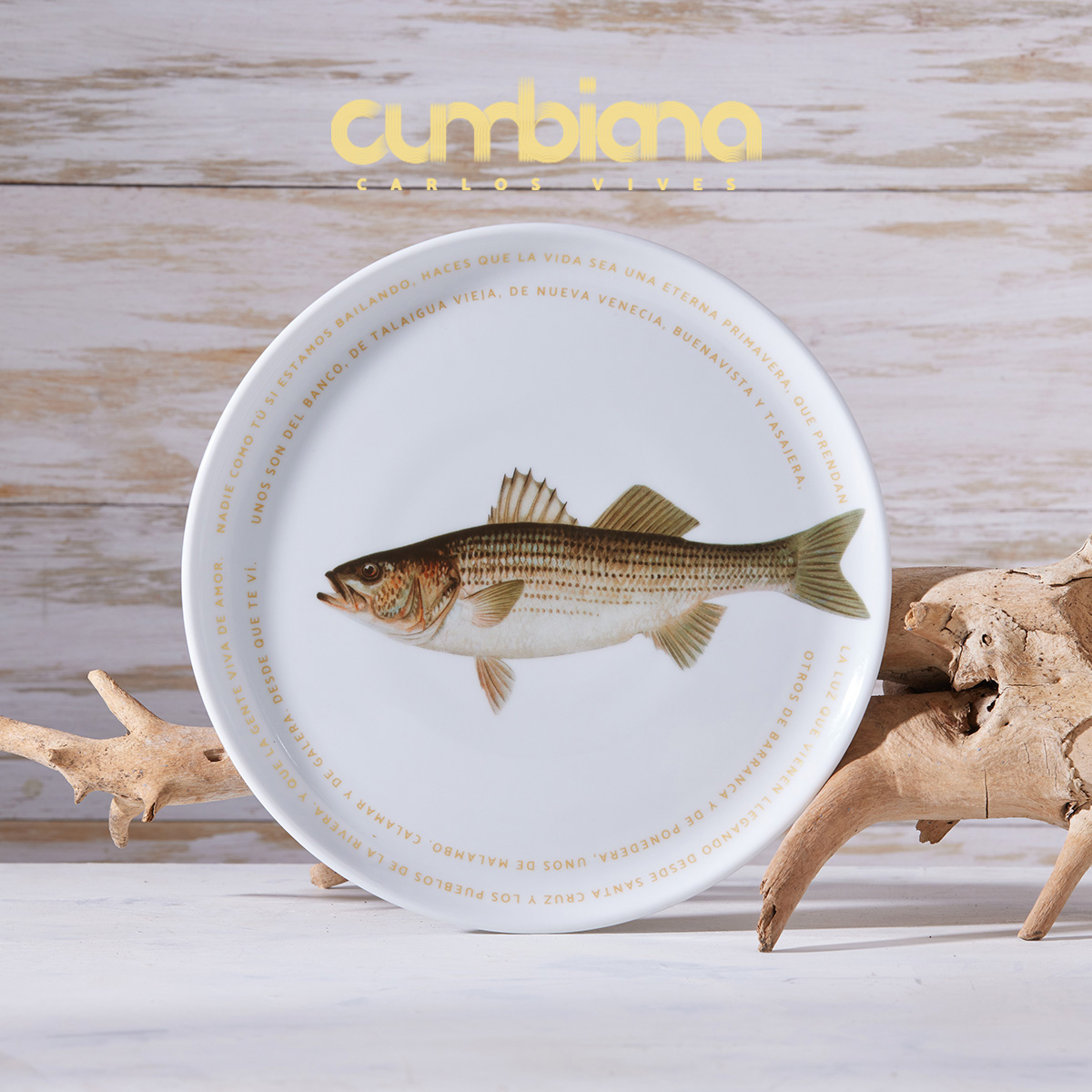 Set 4 platos Pando 23.6cm Cumbiana By Carlos Vives