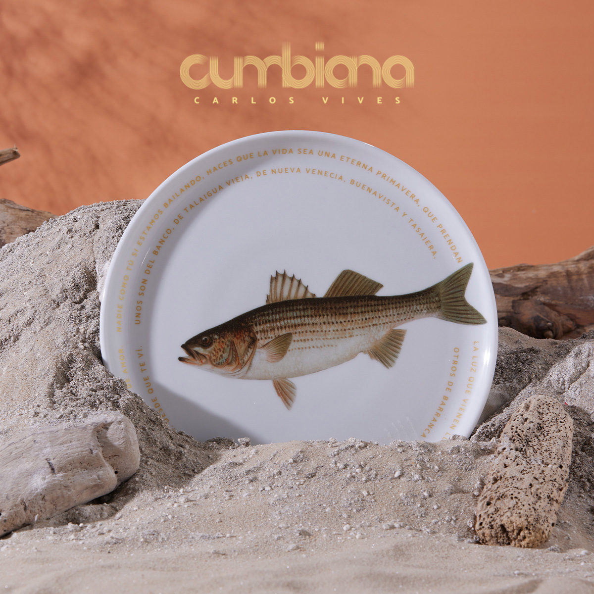 Set 4 platos Pando 23.6cm Cumbiana By Carlos Vives