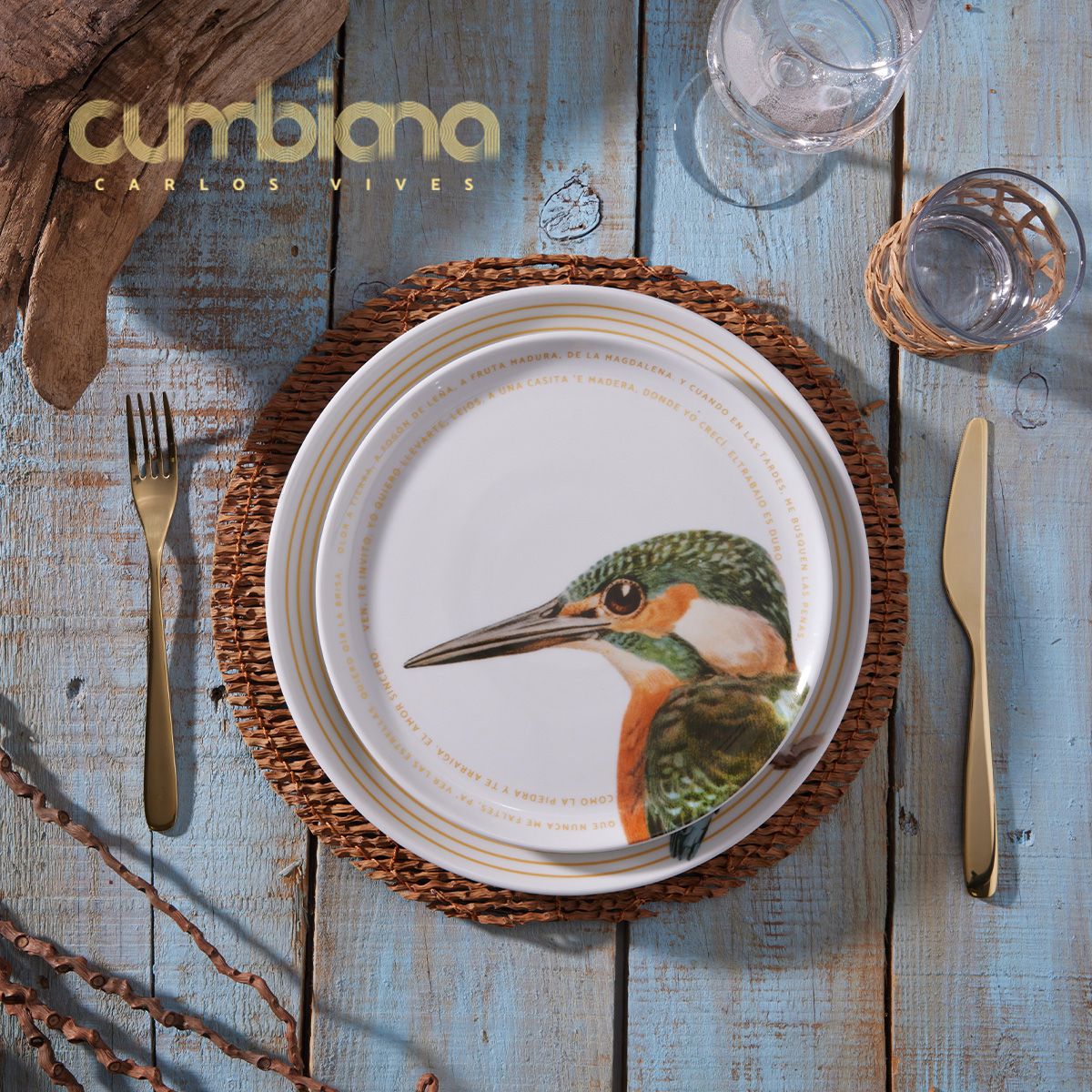 Set 4 platos Pando 23.6cm Cumbiana By Carlos Vives